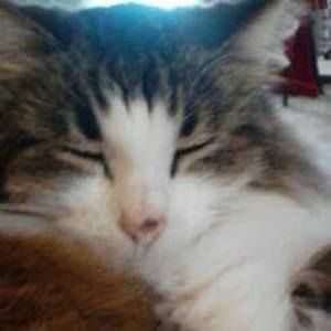 Meet your Posher, Pat